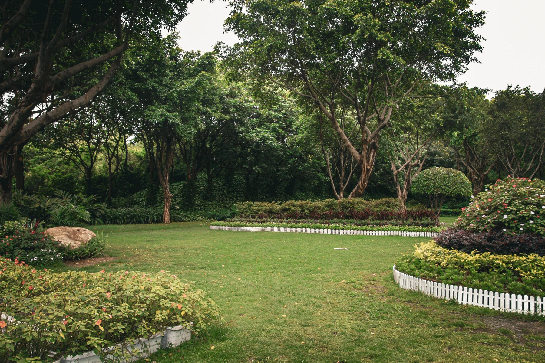 A maintained green lawn framed by planted garden borders